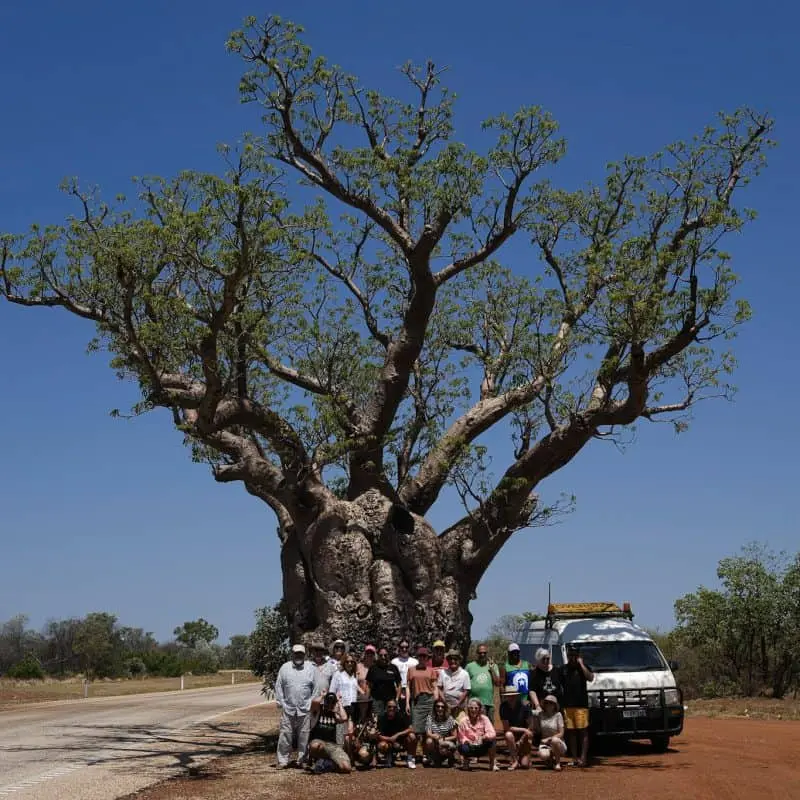 Bangarra Dance Theatre Sand Song Group photo inder a Boab tree.