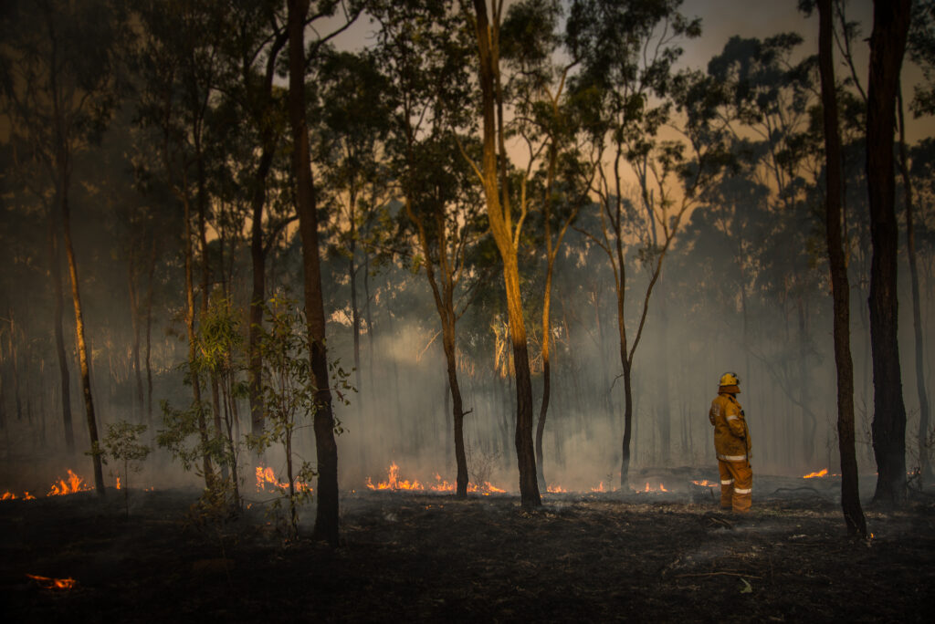 Queensland rura firefighter inspects bushfire zone.