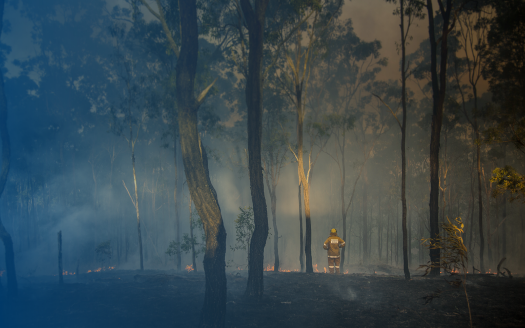 Image of a NSW rural firefighter surveying a burnt out bushfire zone.