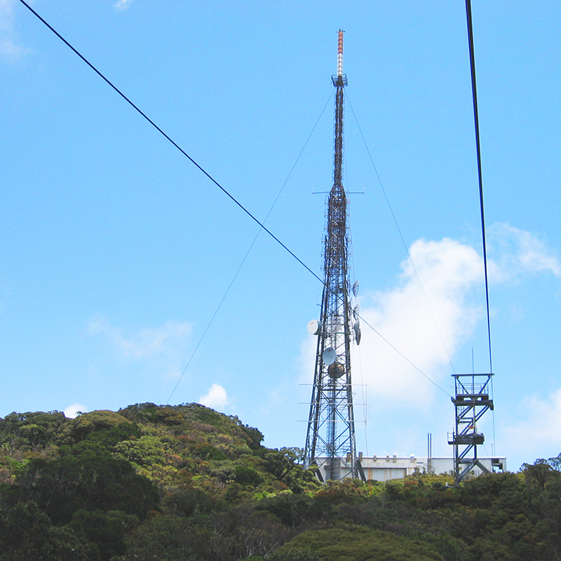 Mount Bellenden Ker cableway in Far North Queensland with transmission tower.